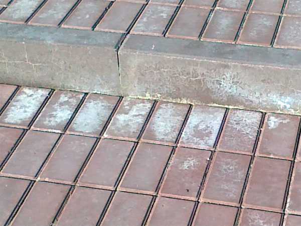 Как очистить тротуарную плитку от белого налета: пошаговая инструкция. чем удалить высолы и почему они появляются