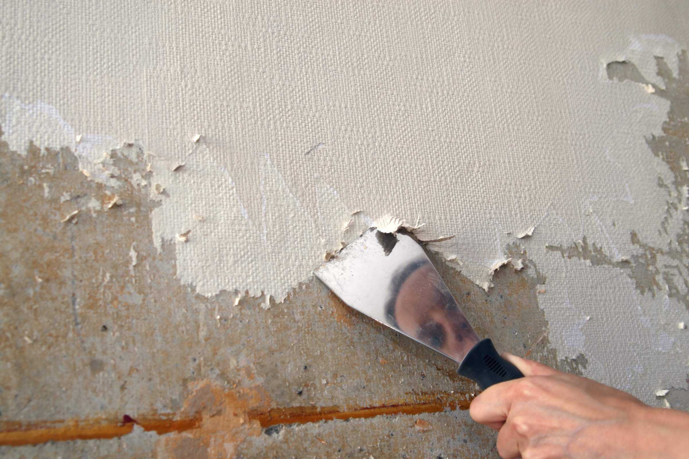 Как очистить потолок от краски, особенности удаления масляной и водоэмульсионной, фотографии и видео