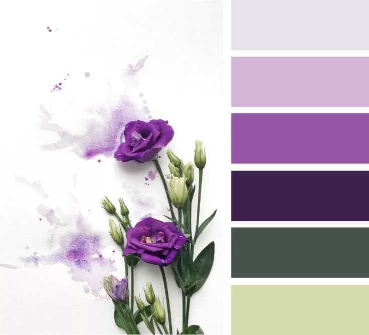 Сочетание фиолетового цвета в таблице. фото | lookcolor
