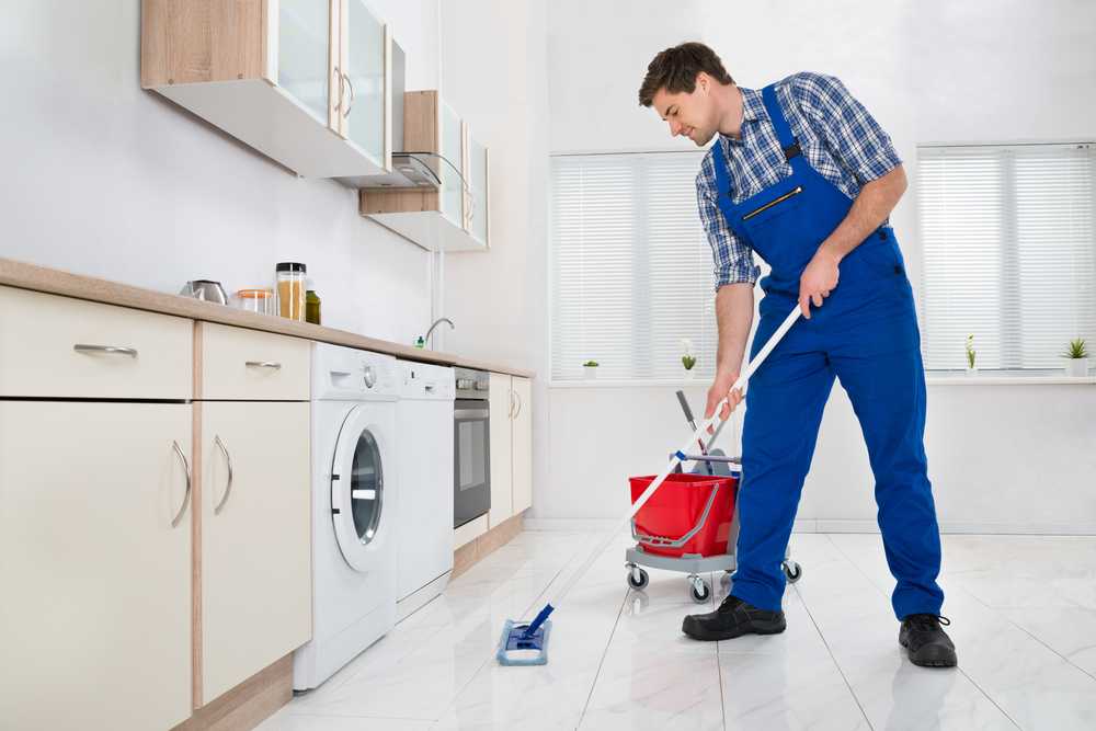 Чистящие средства для уборки дома и поддержания чистоты