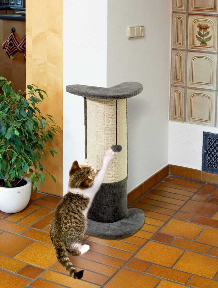 Чем отделать стены от кота. отучаем кошку драть обои и защищаем стены от посягательств любимца. кошка дерет обои: чем отделать стены