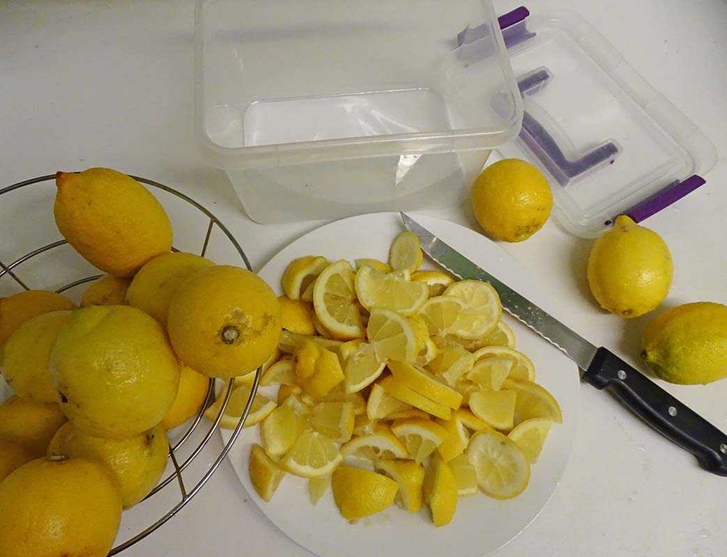 Топ 13 способов, как в домашних условиях правильно хранить лимоны, чтобы не испортились